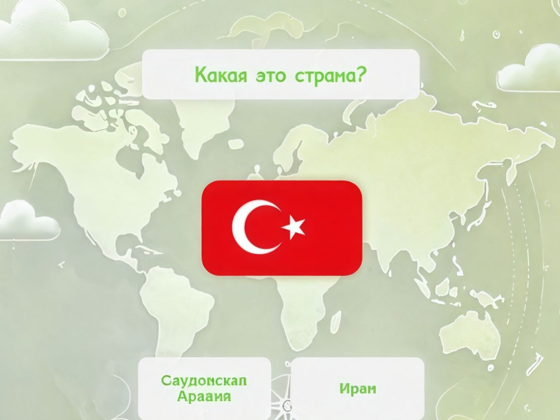 Igra Majstor zastave  online