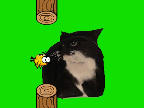 Igra Flappy ptice spinning oia oia mačka  online