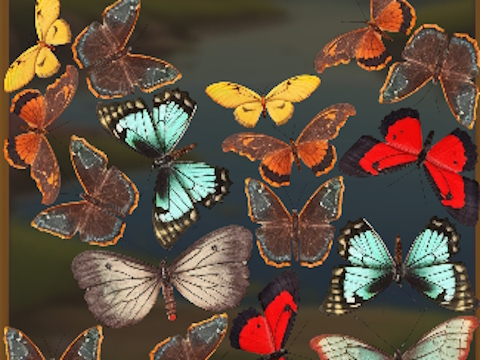 Igra MergeButerFly: 2048! online