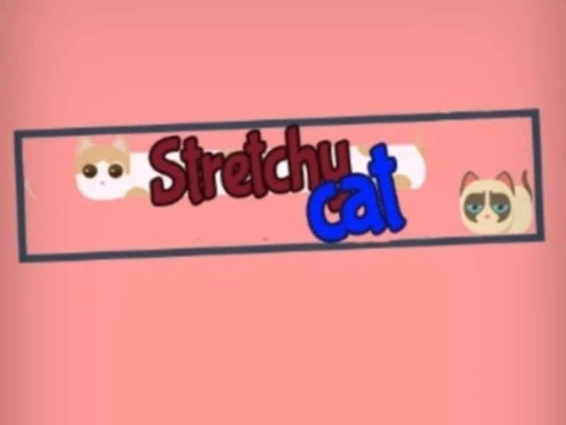 Igra Rastezljiva mačka  online
