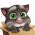 Agilnost  online